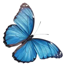 Imagen PNG para descargar